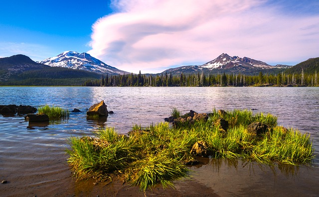Free Lake Forest photo and picture