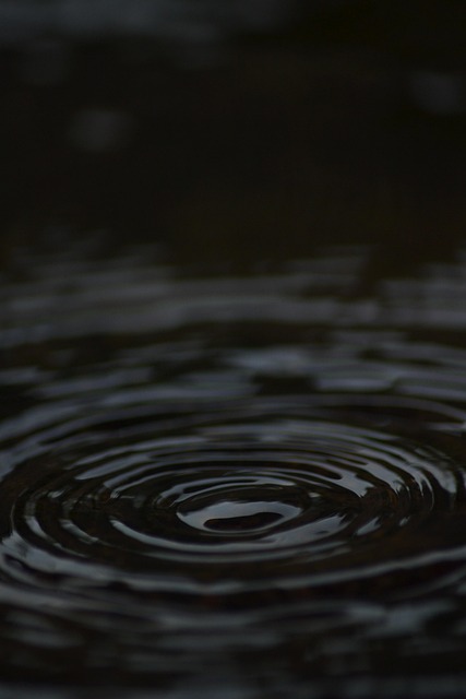 Free Water Waves photo and picture