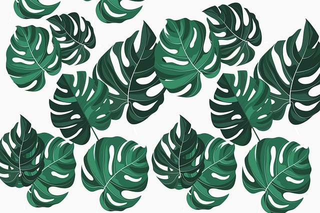 Free leaves monstera background illustration