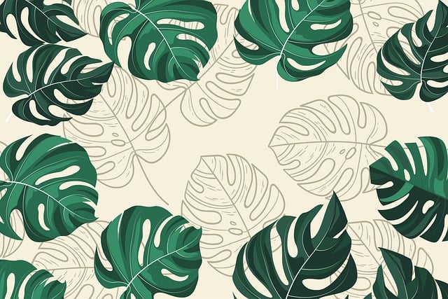 monstera leaves meaning Buy Monstera Adansonii Plant Online in India main image 0