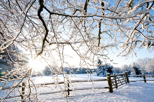 Free Winter Snow photo and picture