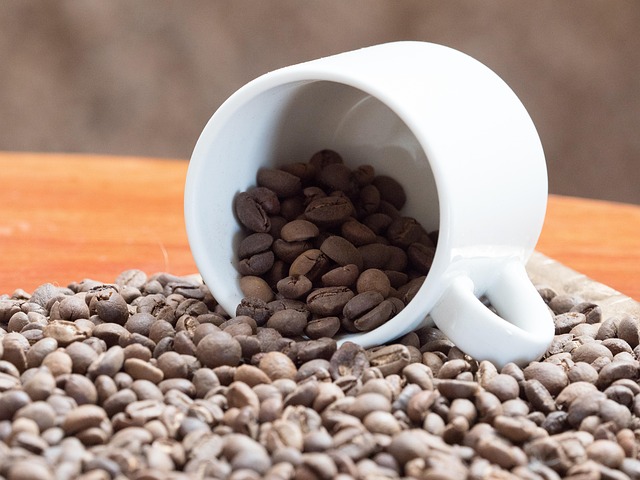 Free Coffee Cup photo and picture