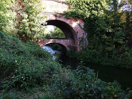 Free Bridge Trees photo and picture
