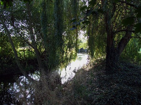 Free Brook River photo and picture
