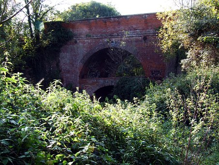 Free Bridge Trees photo and picture