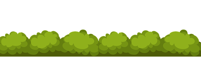 Free shrub bush garden illustration