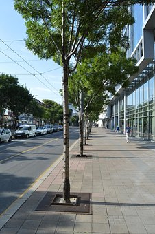 Free Street City photo and picture