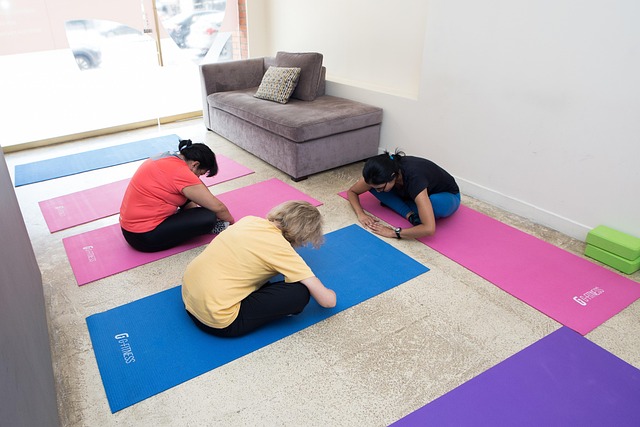Free Health Equipment photo and picture