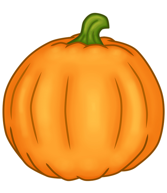Download free HD stock image of Pumpkin Vegetable Free pumpkin vegetable fruit illustration