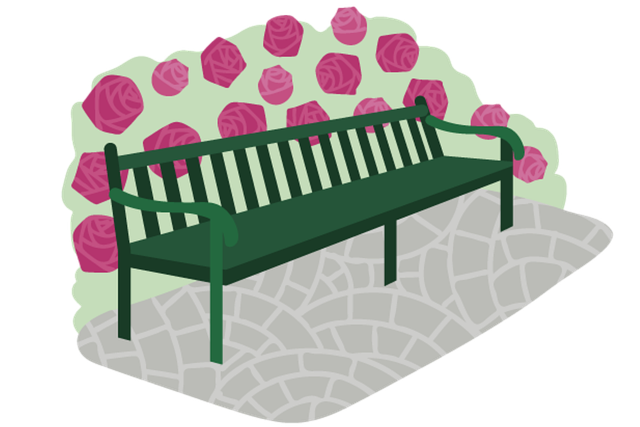 Bank, Stuhl, Park, Blumen, Busch