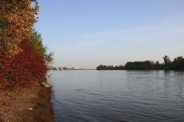 Neva River Out Of Town The Free photo on Pixabay Pixabay