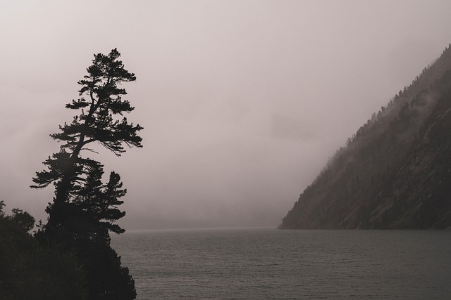 Free Mountains Tree photo and picture
