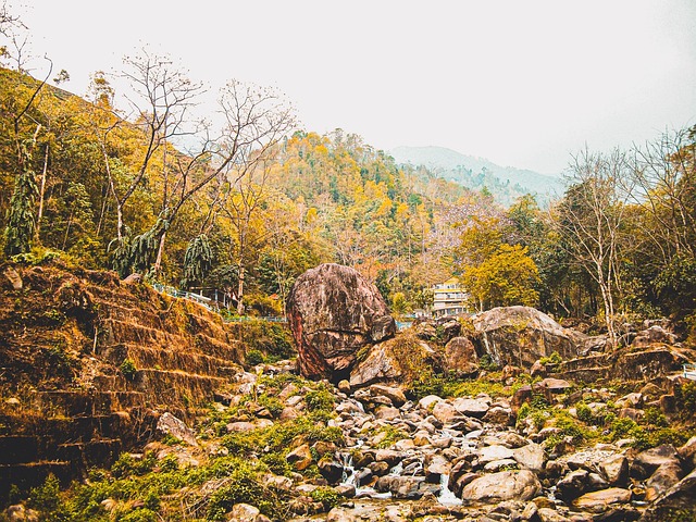 Free Nature Land photo and picture