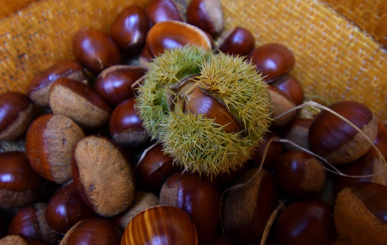 Castaña Orgánico Cesta - Foto gratis en Pixabay - Pixabay