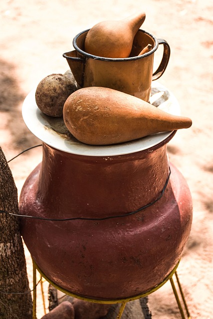 Free Pitcher Porongo photo and picture