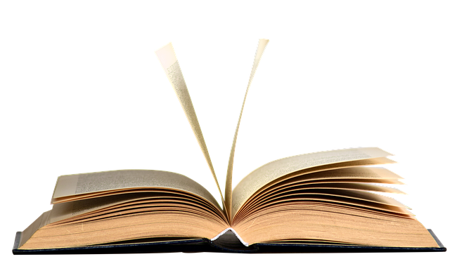 Free book open pages illustration