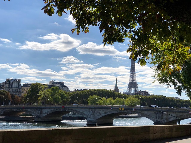 Free Paris Seine photo and picture