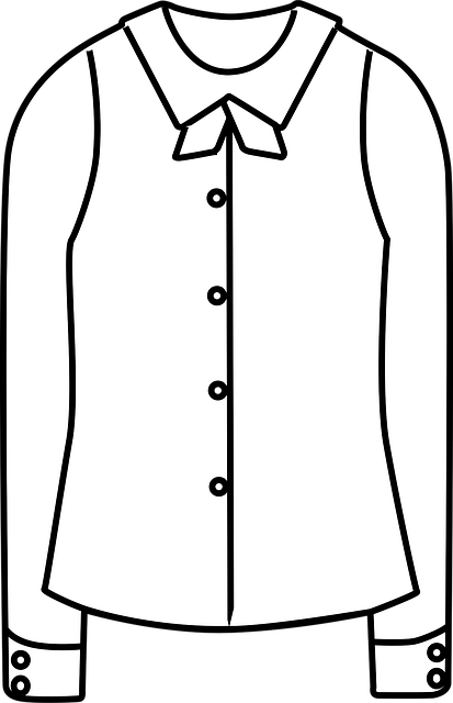 Free shirt blouse long sleeve illustration