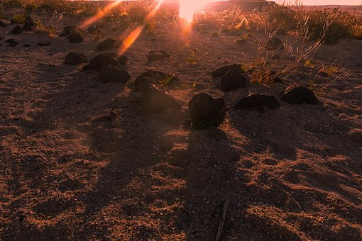 Free Sunset Plateau Infinite photo and picture