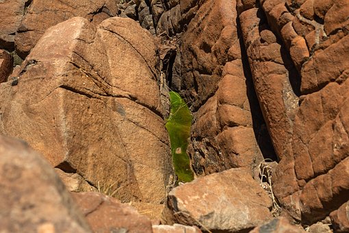 Free Moss Stones photo and picture