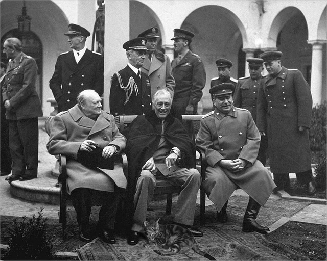 Kat, Churchill, Opdringerige Kat