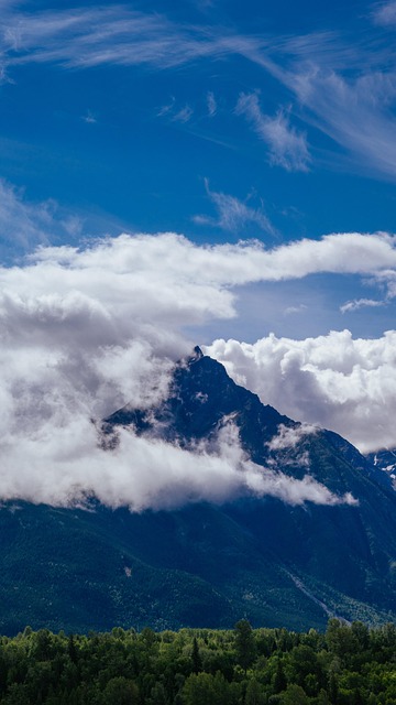 Free Mountain Forest photo and picture