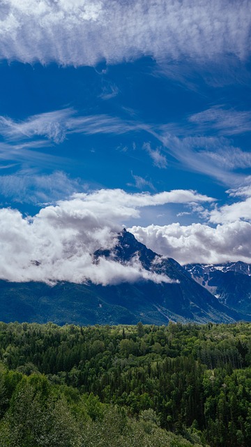 Free Mountains Forest photo and picture