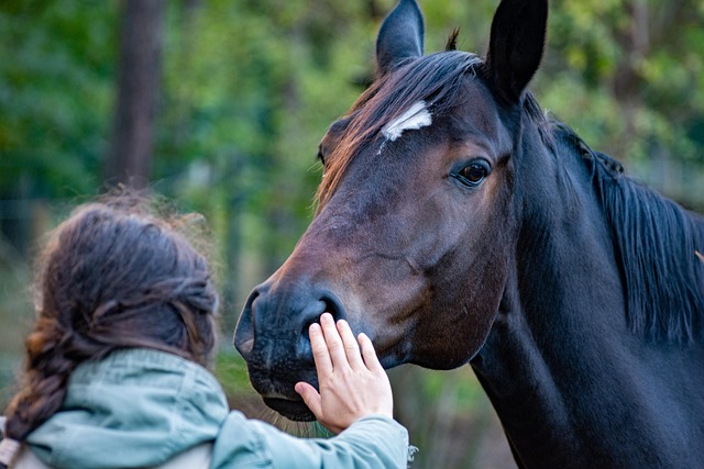 Free Horse Hand photo and picture Free Horse Hand photo and picture