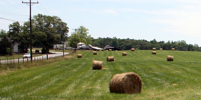 Free Hay Field photo and picture