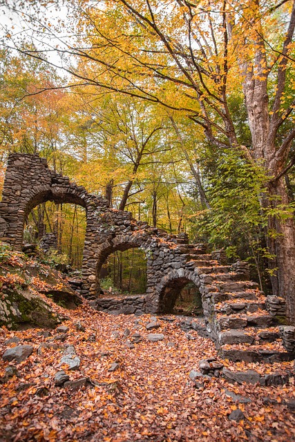 Free Stairs Ruins photo and picture