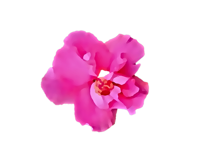 Free Hibiscus Flower illustration and picture