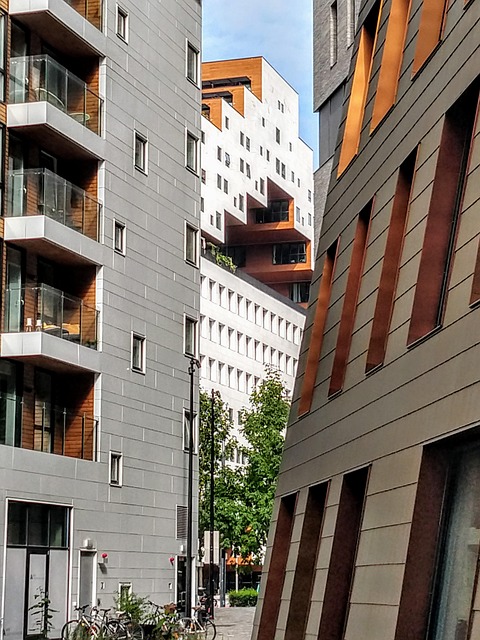 Free Oslo City photo and picture