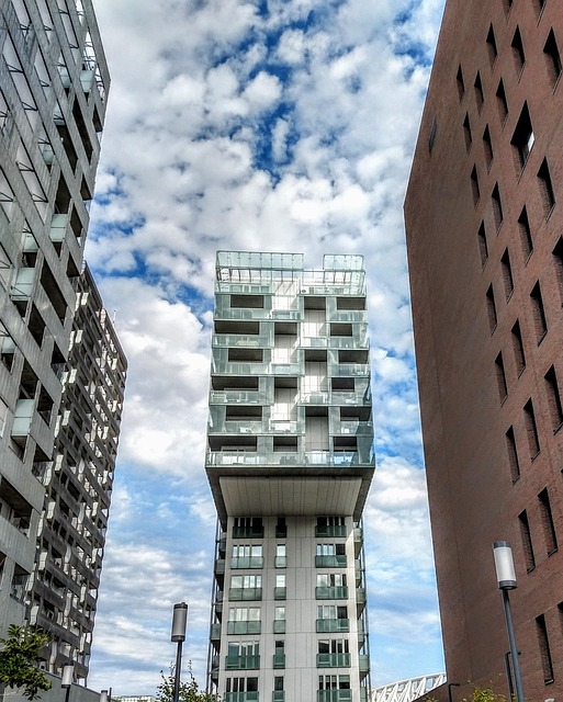 Free Oslo City photo and picture