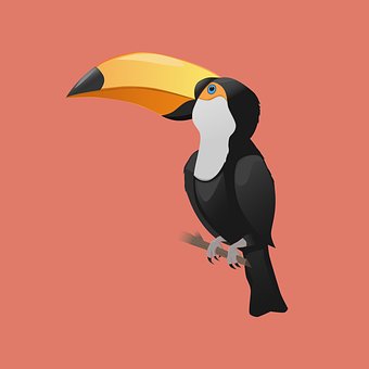 Free Bird Toucan vector and picture