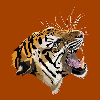 Tiger, Dyr, Tigerbrøl, Tigerhode