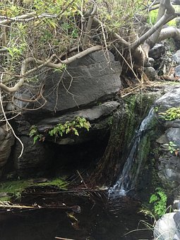 Cachoeira, Poça, Pedra, Gravetos