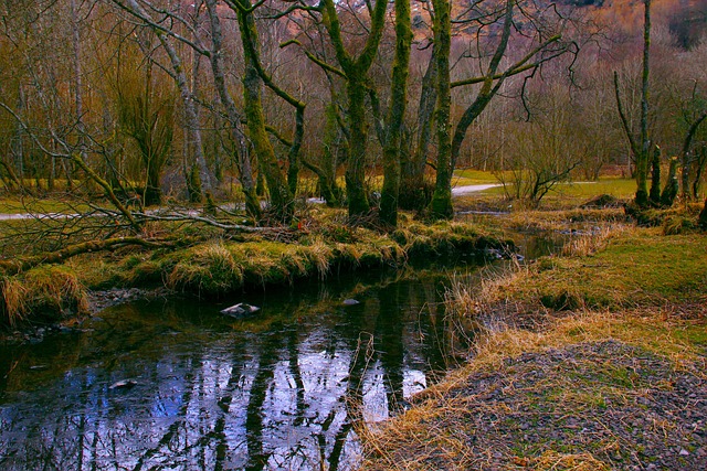 Free Nature River photo and picture