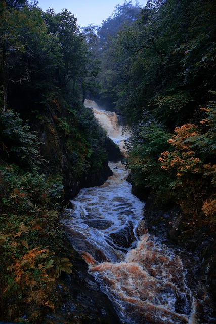 Free Virgin Water Waterfalls photo and picture