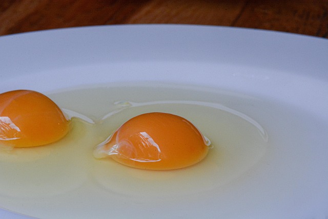 Free Egg Eggs photo and picture