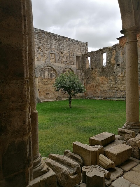 Árbol, Monasterio, Restos, Salzedas