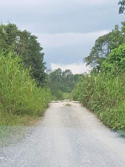 Reise, Entdeckung, Natur