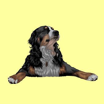 Hund, Ikon, Kjæledyr, Hund Ikonet