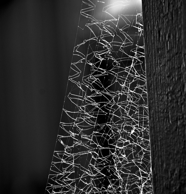  Spider Engineering Free photo on Pixabay Pixabay