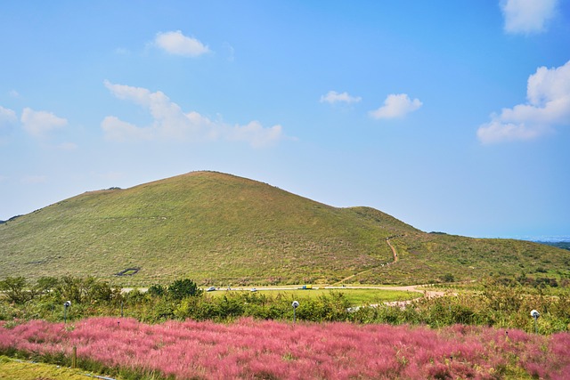 Korea, Republik Korea, Jeju, Landschaft