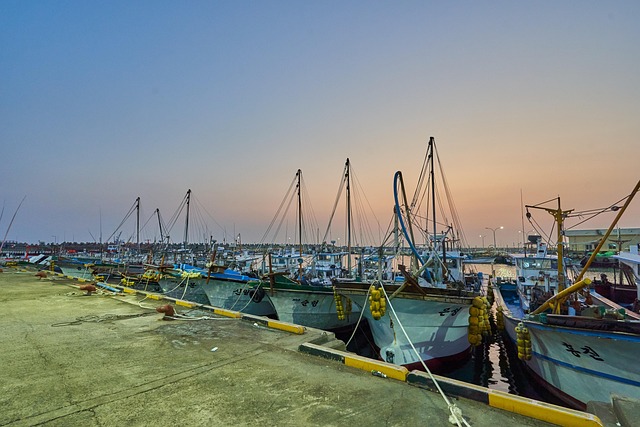 Hafen, Boote, Meer, Fischerboote, Jeju