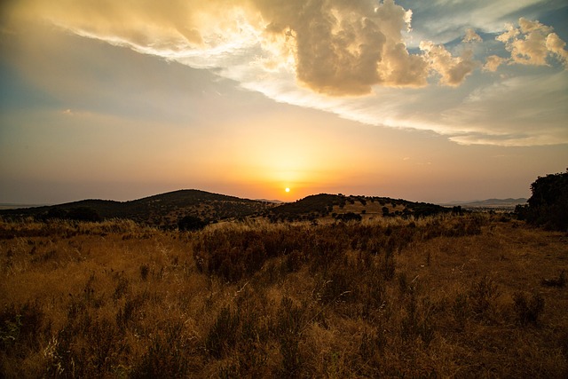 Free Sunset Meadow photo and picture