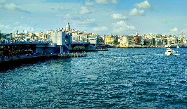Free sea bridge istanbul illustration