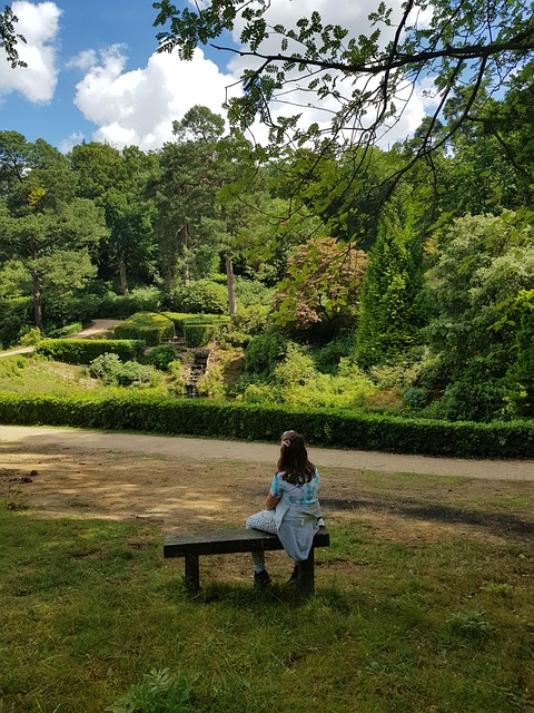 Free Tress Thinking photo and picture