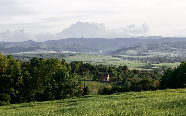 Berge, Wald, Bäume, Natur, Himmel