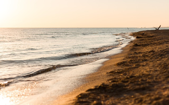 Strand, Sand, Wellen, Seestück, Meer
